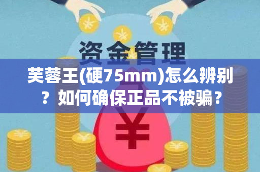 芙蓉王(硬75mm)怎么辨别？如何确保正品不被骗？
